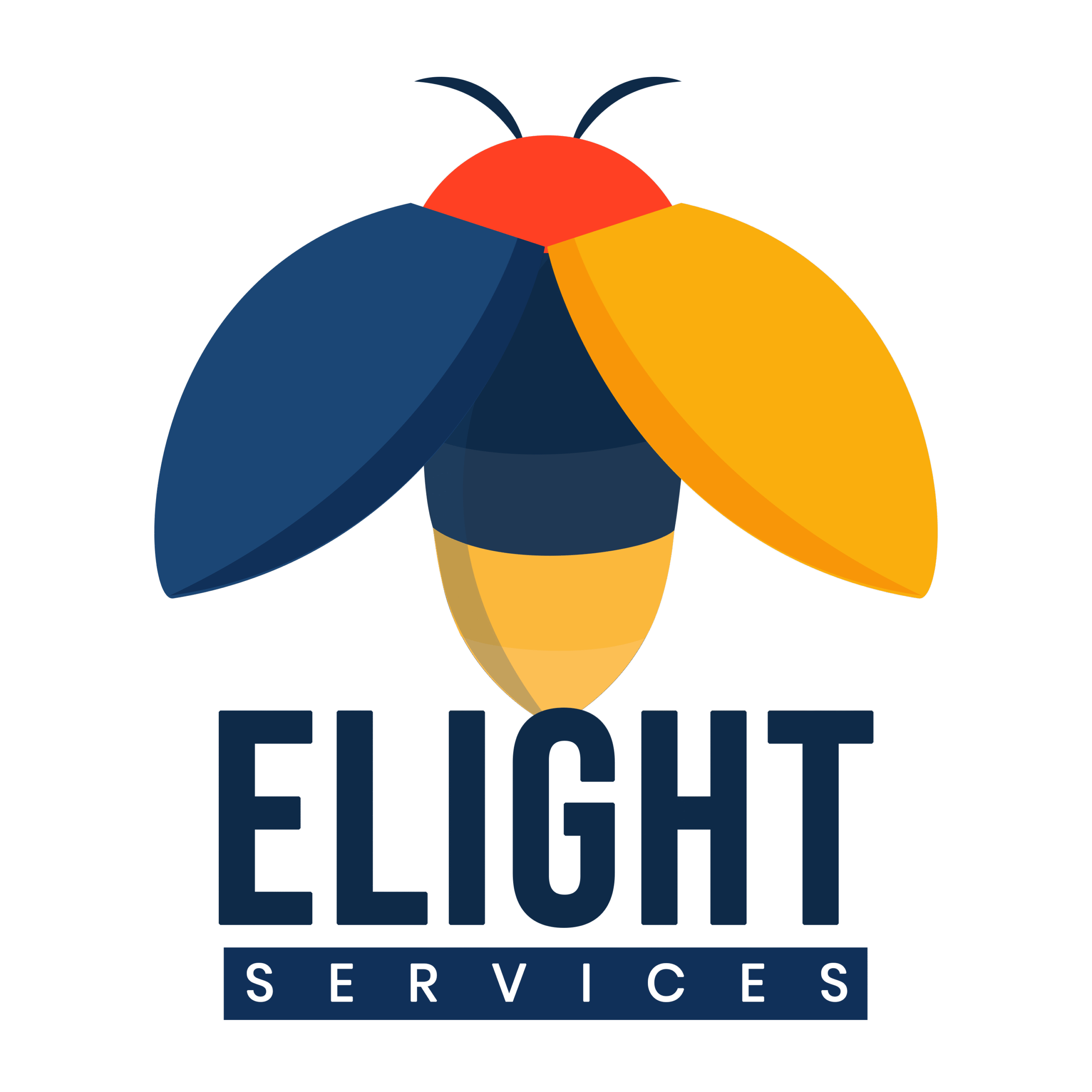 Elight Web Technolgies